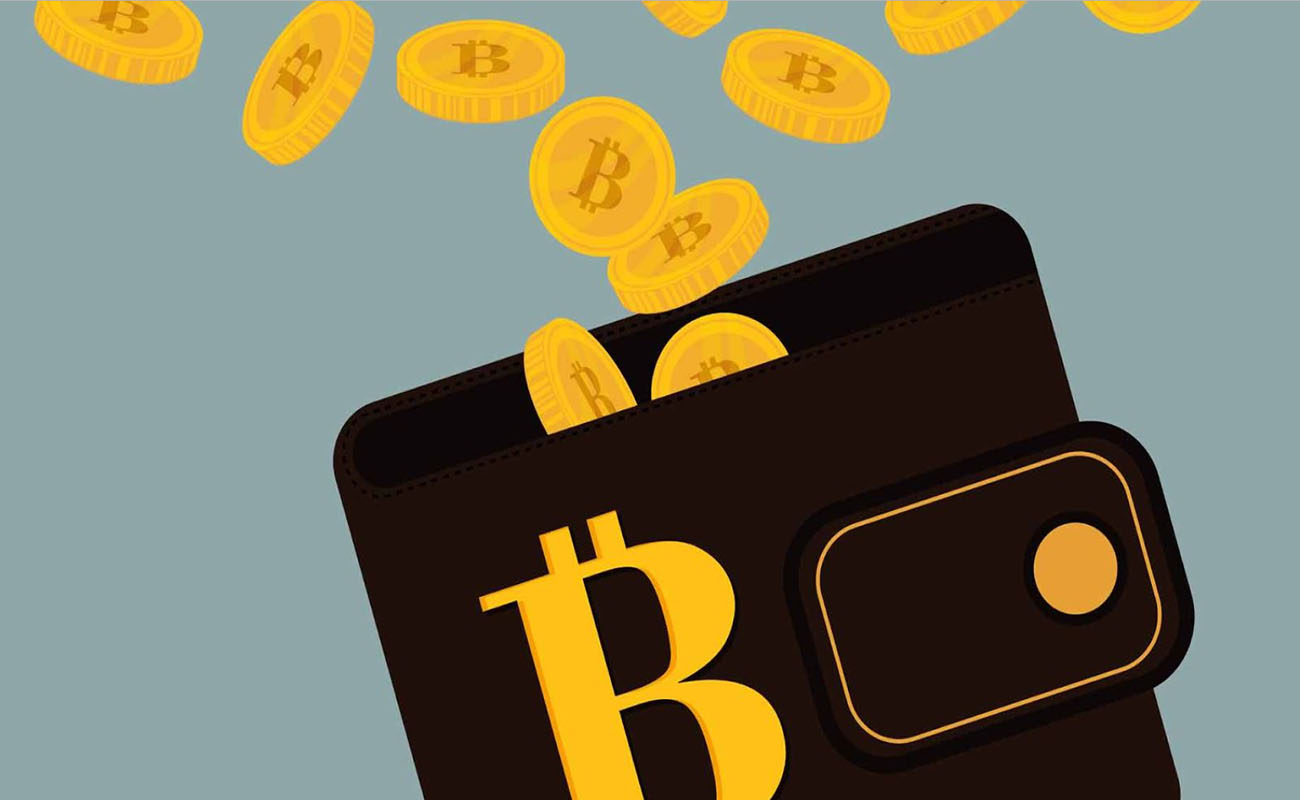 Ví Bitcoin là gì?