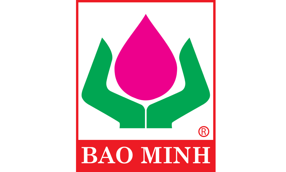Bảo hiểm Bảo Minh thuộc công ty bảo hiểm Top đầu ở Việt Nam