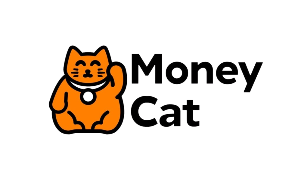 Quy trình đăng ký vay tiền MoneyCat online