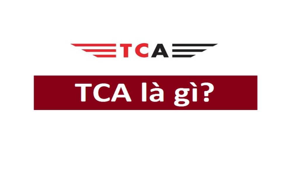 Bảo hiểm TCA là gì?